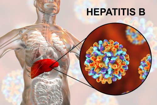 Hepatitis B Kya Hai