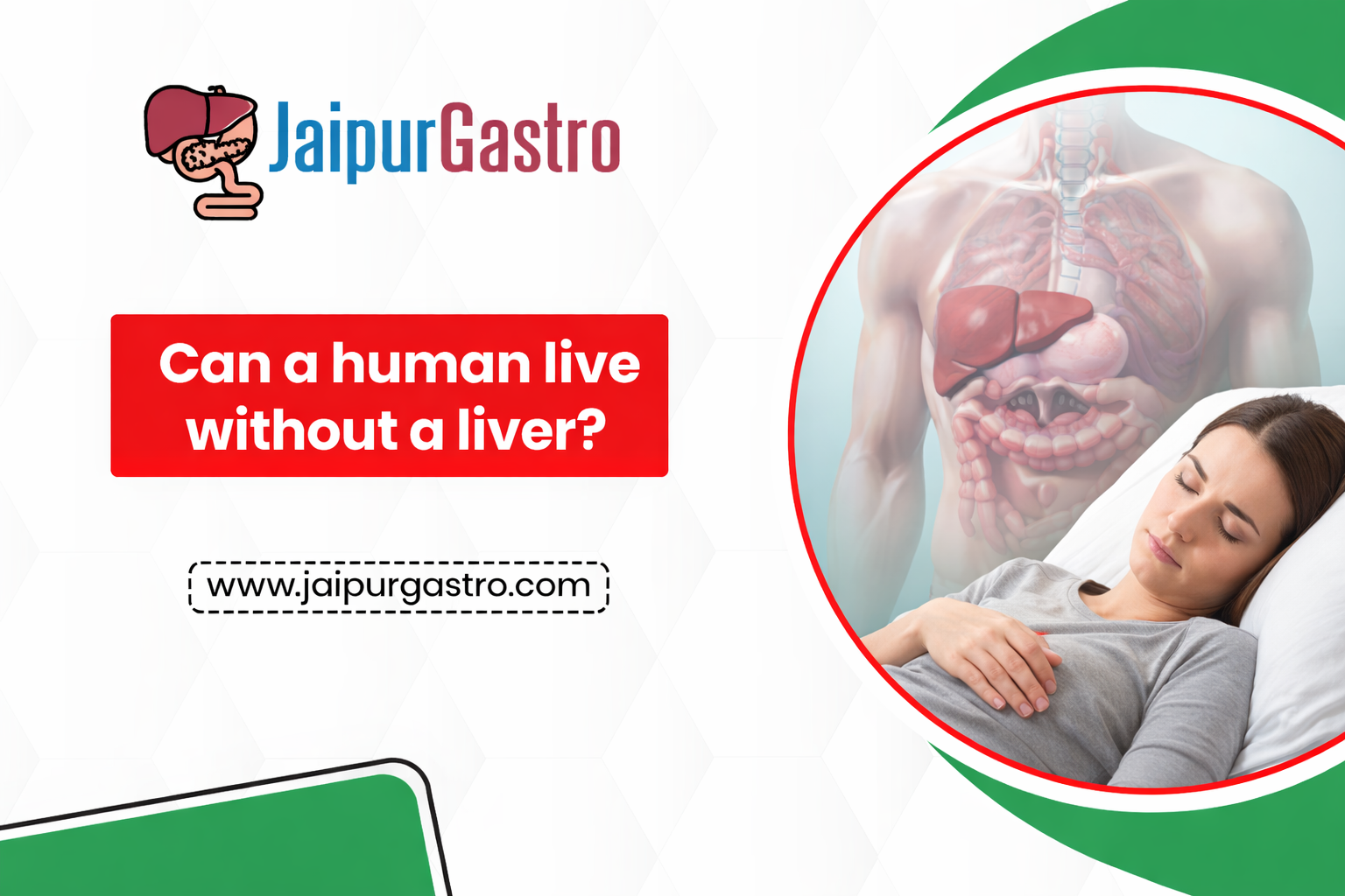can humans live without a liver